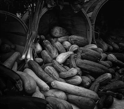 Veggies, Oswego, Illinis, 2011.jpg - 