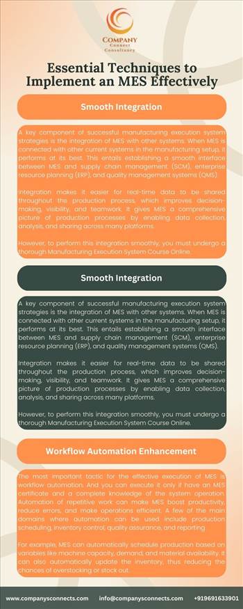 Essential Techniques to Implement an MES Effectively.jpg by companysconnects