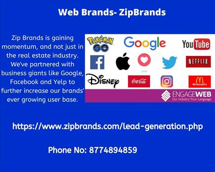Zip Brands is a rapidly growing .com company that started with simplified search concepts and evolved into the fastest-rising network of online brands in the US. We deliver common-sense web brands that cater to the ever-growing consumer demand for online 