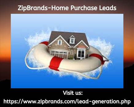 Zip Brands is gaining momentum, and not just in the real estate industry. We've partnered with business giants like Google, Facebook and Yelp to further increase our brands' ever growing user base. 
Visit us: https://www.zipbrands.com/lead-generation.php