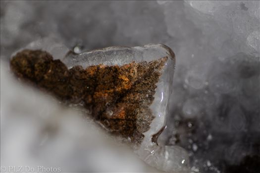 Frozen Fall-6457.jpg by Patricia Zyzyk