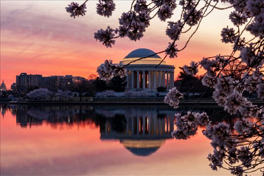 Jefferson Memorial Breaking Morn by Patricia Zyzyk