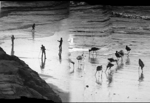 image.jpg - undefined