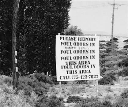 image.jpg - undefined