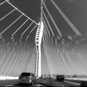 image.jpg - undefined