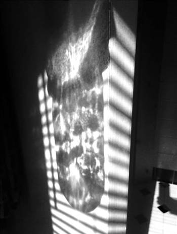 image.jpg - undefined