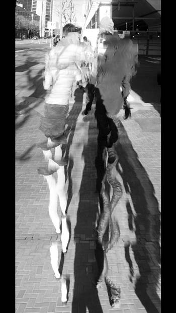 image.jpg - undefined