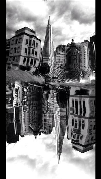 image.jpg - undefined