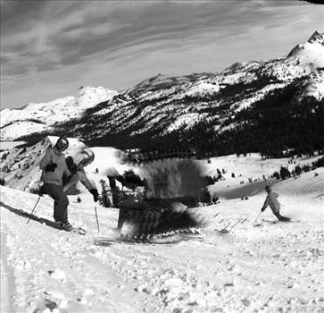 image.jpg - undefined