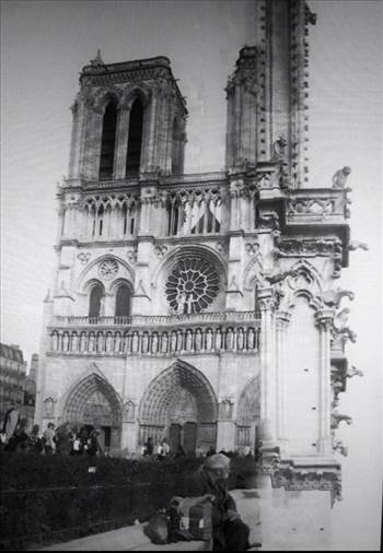 image.jpg - undefined