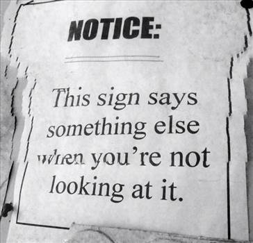 image.jpg - undefined