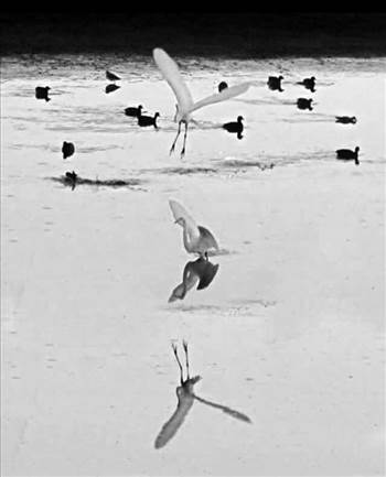 image.jpg - undefined