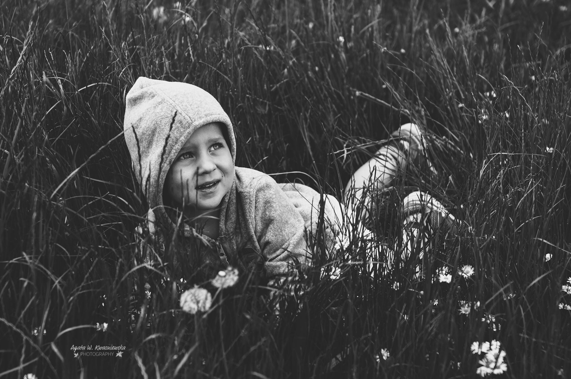 In the grass  by Agata W. Kwasniewska Photography