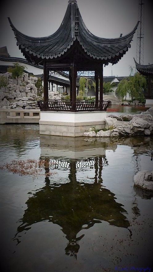 Chinese Gardens  by Lewis & Co. Photography