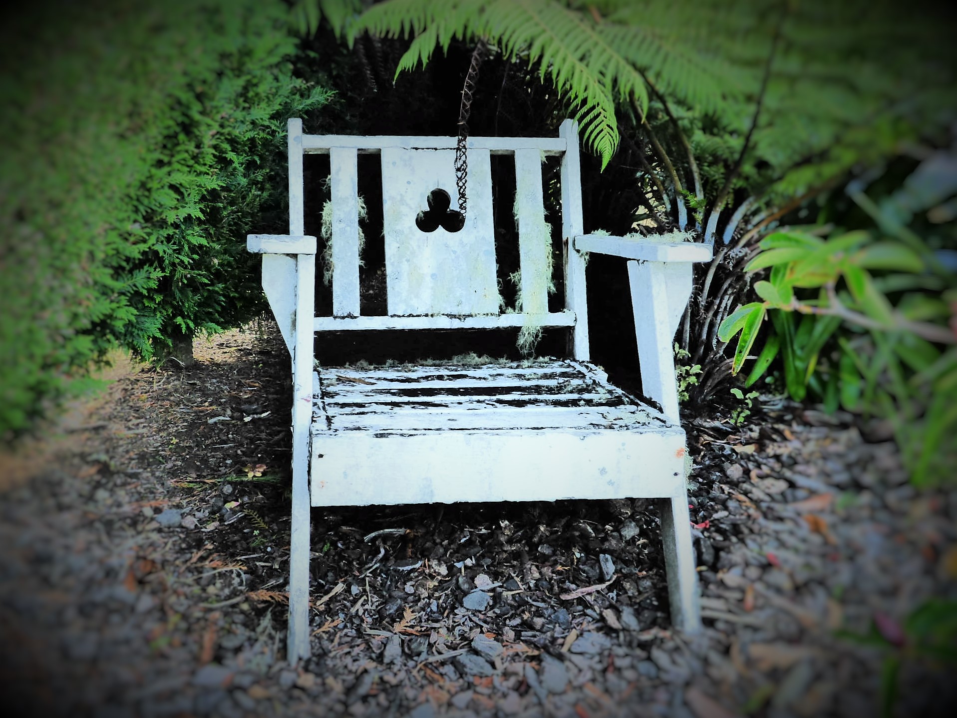 Little chair  by Lewis & Co. Photography