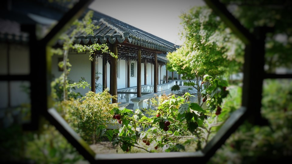 Through the window Chinese Gardens, Dunedin. New Zealand by Lewis & Co. Photography