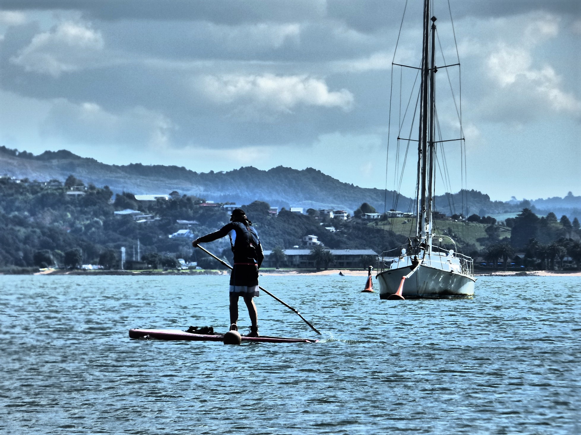 Paddleboarder  by Lewis & Co. Photography