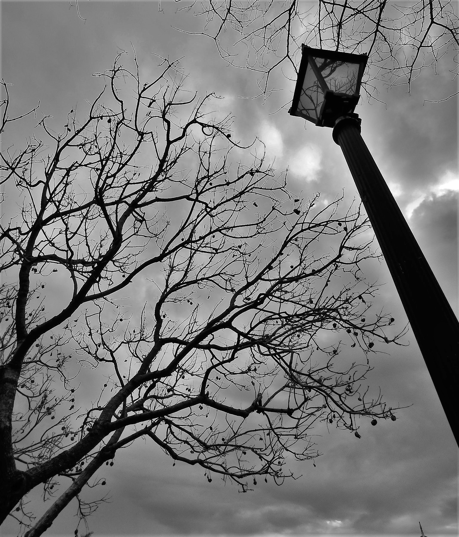 Old Lamp post  by Lewis & Co. Photography