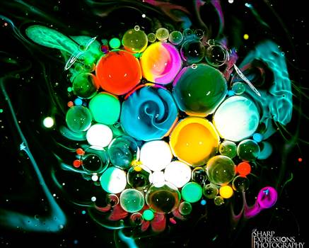 IMG_0484 - Copy.jpg - 