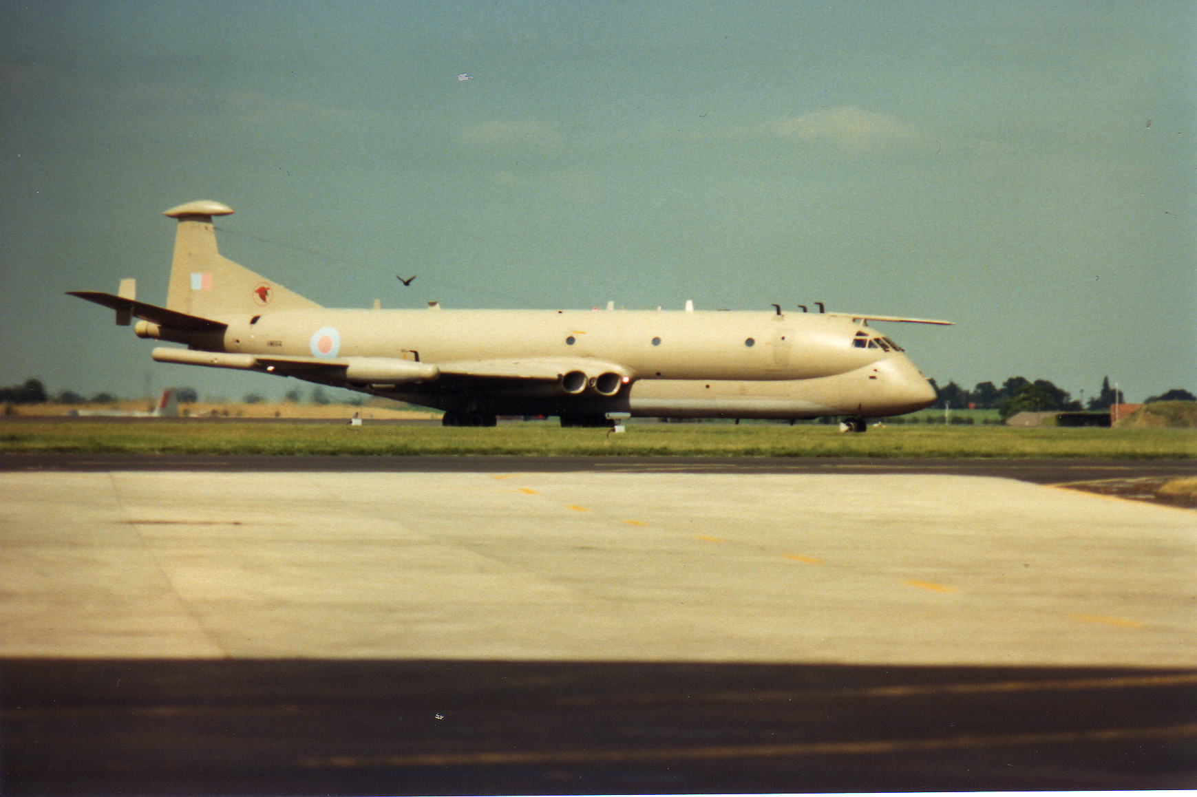 Nimrod R10019.jpg  by Mark Jowett