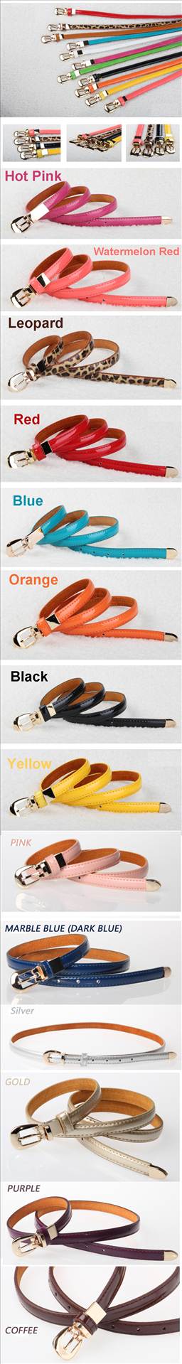 15cm slim belt02.jpg  by luce2339