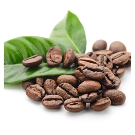 decaffeinated-bolivian-usda-organic-shade-grown-coffee-1-4-lb-bag1-450x450.jpg  by theorganicbeans