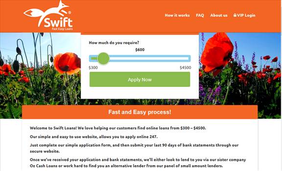Quick Cash Loans.PNG by onlineswiftloans