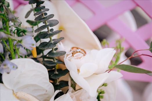 Final-0870.JPG by Spangnuolo