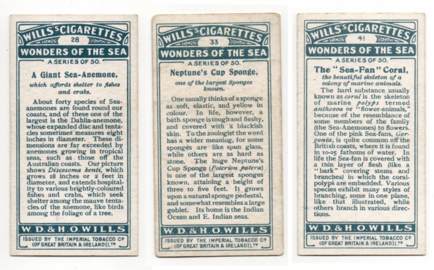 Wills Wonders Of The Sea Back CC0263.jpg  by whitetaylor