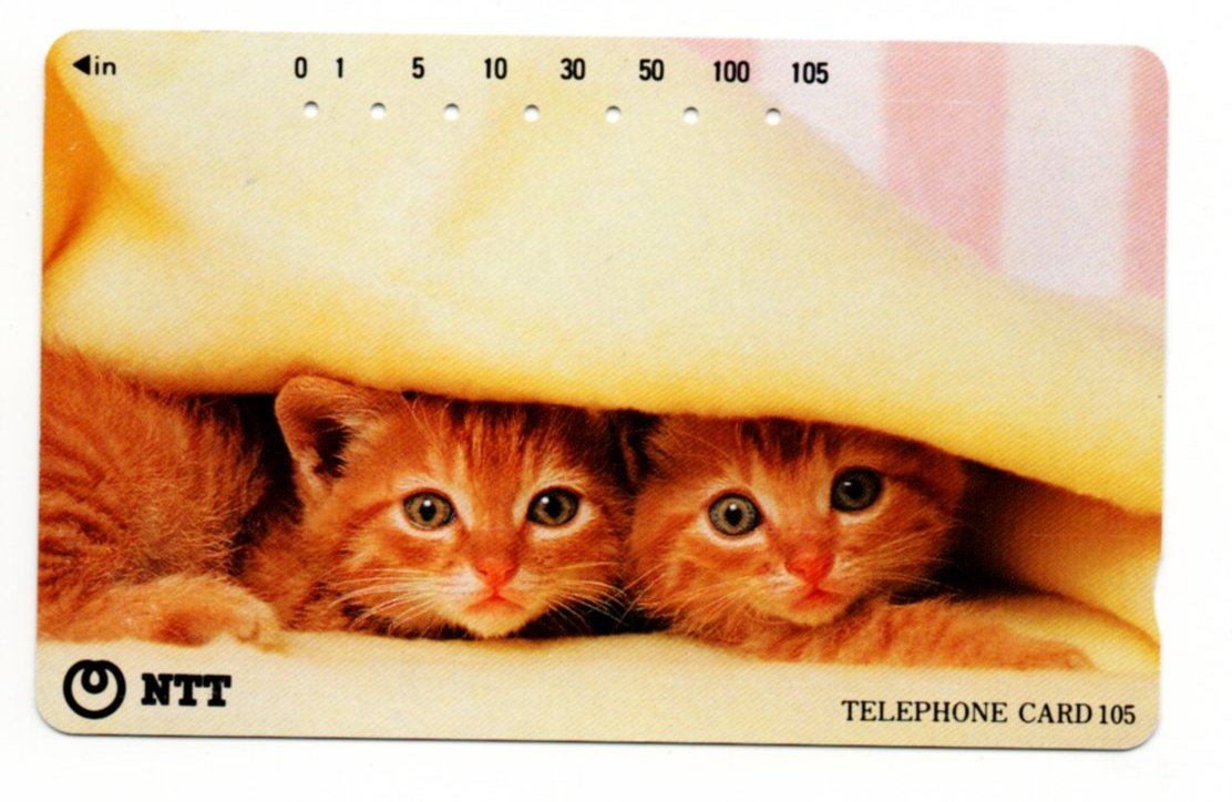 NTT Two Kittens Under A Blanket PW-TC-034.jpg  by whitetaylor
