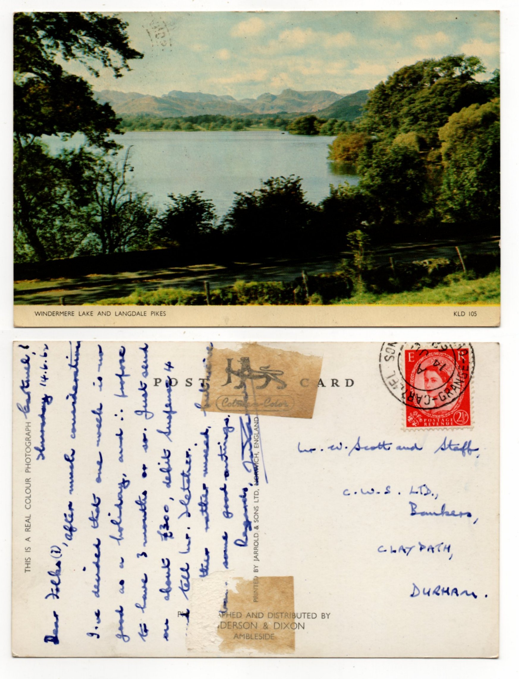 Windermere Lake And Langdale Pikes JW0067.jpg  by whitetaylor