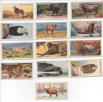 Players Natural History Front CC068.jpg by whitetaylor