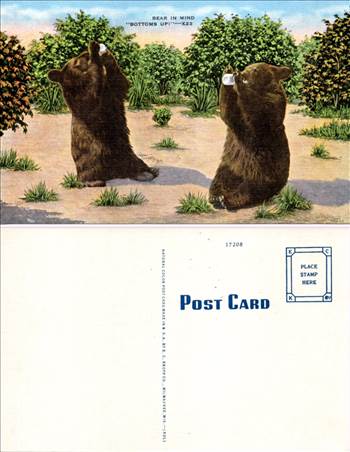 Bear In Mind MR017.jpg - 