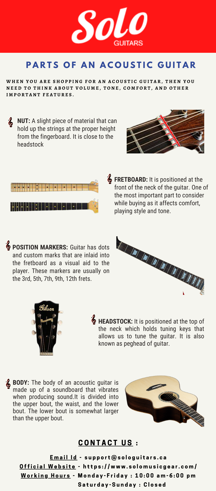Infographic for February.png  by Solomusicgearguitar