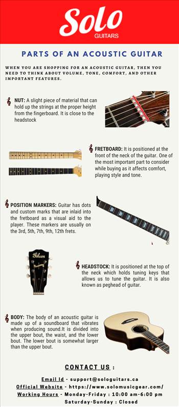Infographic for February.png by Solomusicgearguitar