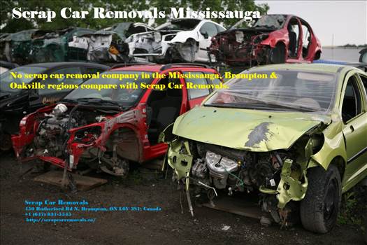Looking for Best Scrap Car Removals Mississauga Dealing?

GET CA$H FOR YOUR SCRAP CAR

Scrap Car Removals.ca has developed the most proficient method of disposing of unwanted, old, broken, wrecked vehicles that have been damaging our environment.

F