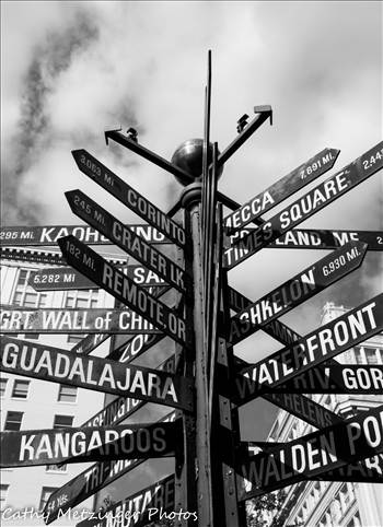 Directionally Challenged (1 of 1).jpg by WPC-9