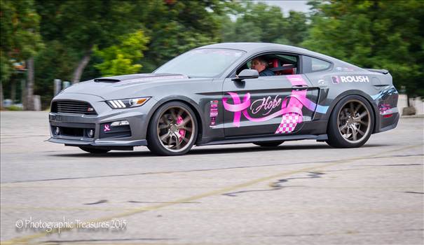 DSC_0650.JPG - undefined