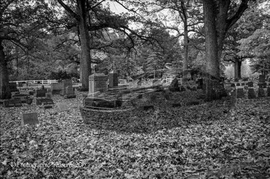 DSC_0021-Edit-2.JPG - undefined