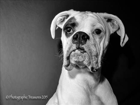 DSC_0009-Edit.JPG - undefined