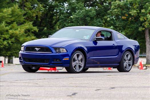 DSC_0514-Edit-2.JPG - undefined