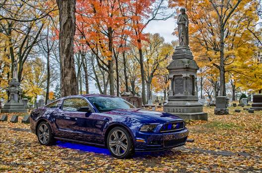 DSC_0037-HDR-Edit.JPG - undefined