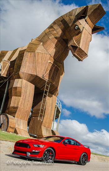 DSC_0021.JPG - undefined