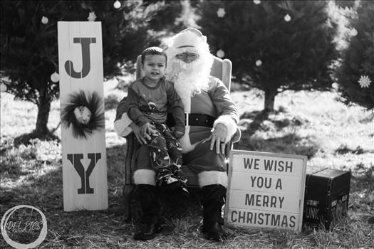 IMG_9017.jpg by Britni