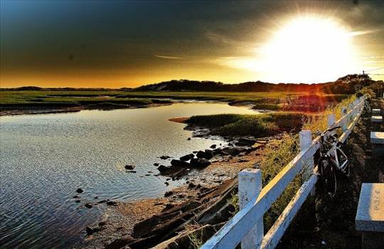 image.jpeg - undefined