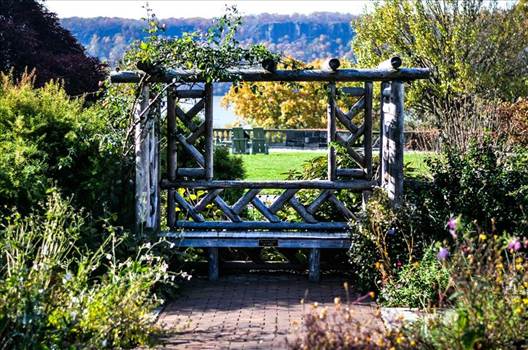 image.jpeg - undefined