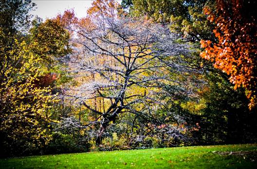 image.jpg - undefined