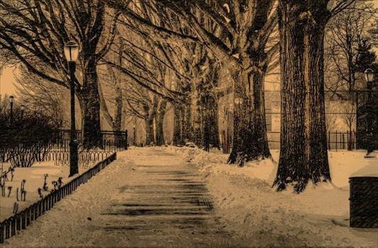 image.jpg - undefined