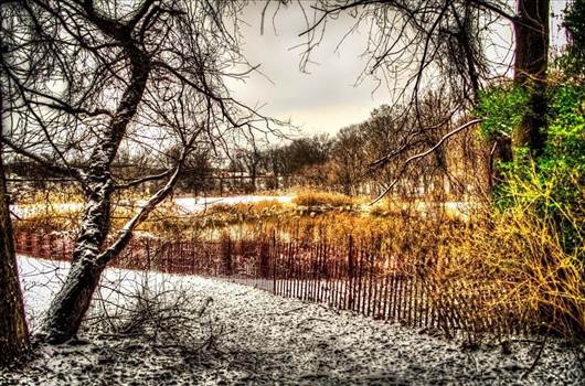 image.jpg - undefined