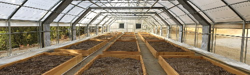 GREENHOUSES (8).jpg  by CraftyQueen